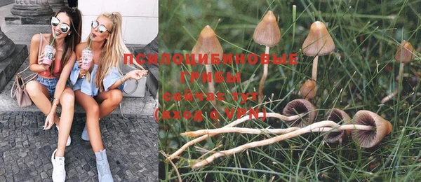 spice Белоозёрский
