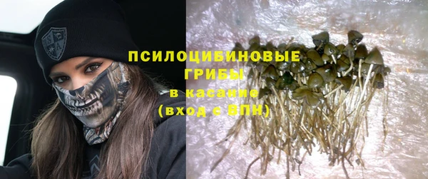spice Белоозёрский