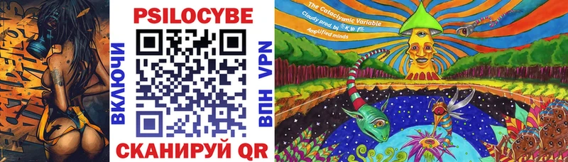 Псилоцибиновые грибы Cubensis  как найти закладки  Ачхой-Мартан 