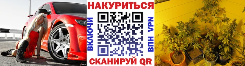 МАРИХУАНА семена  МЕГА ссылка  Ачхой-Мартан 